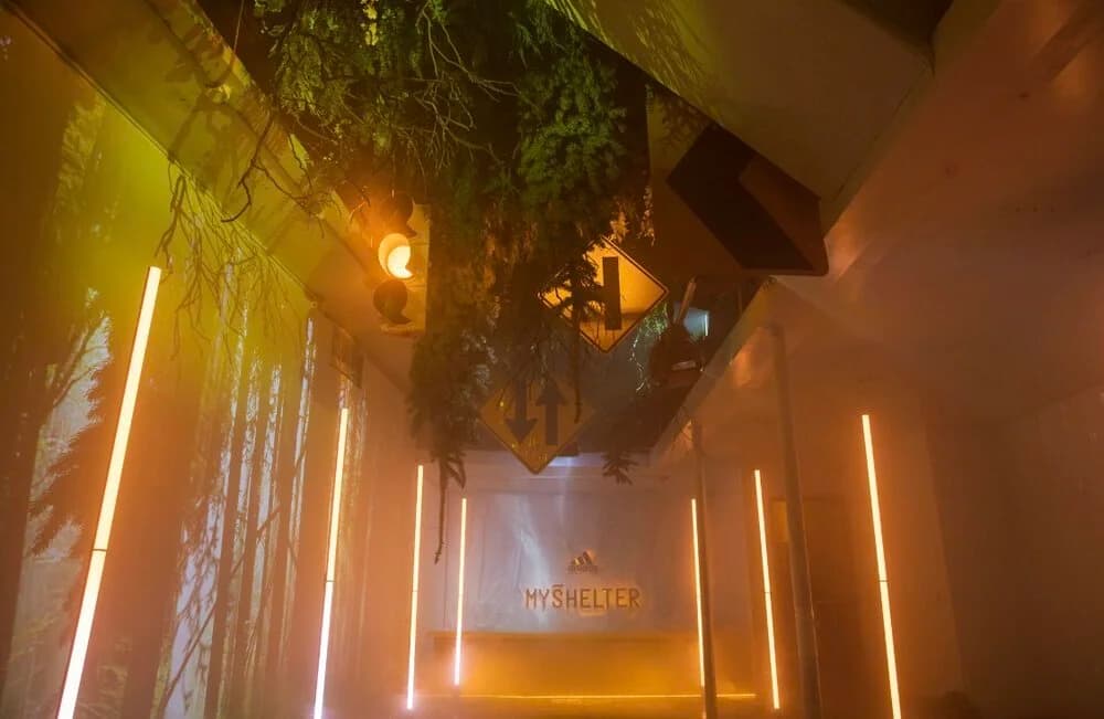 Immersive Environments