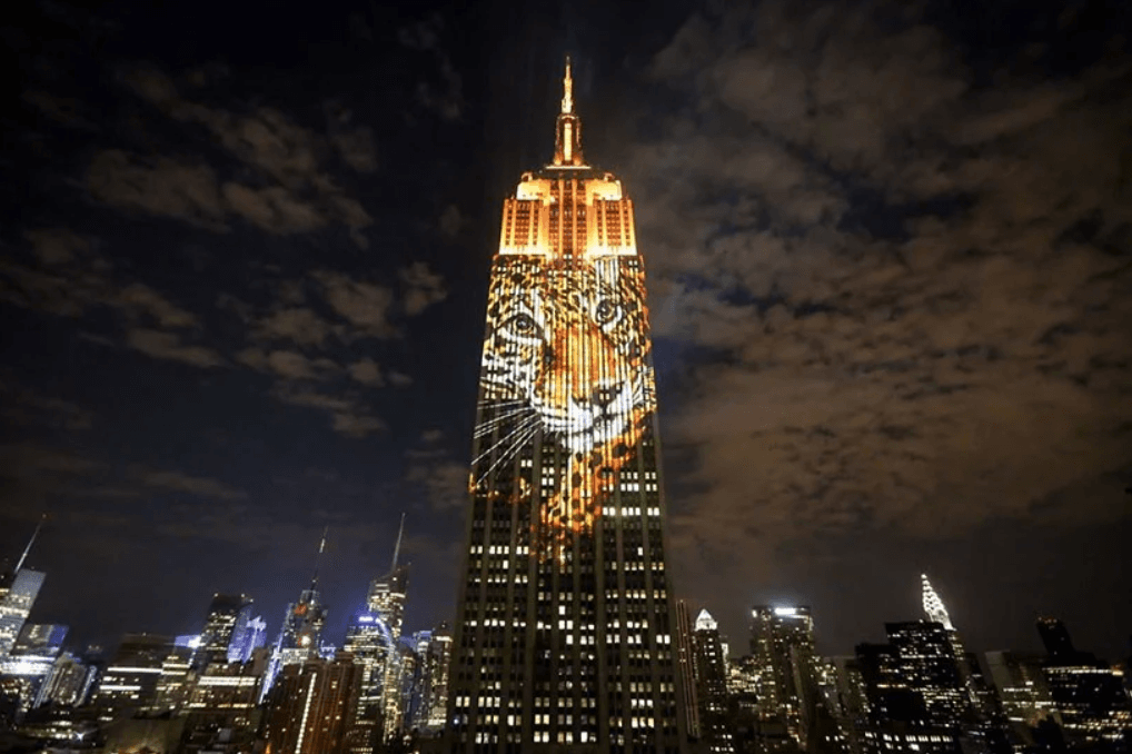 Projecting Change Racing Extinction deck image 2