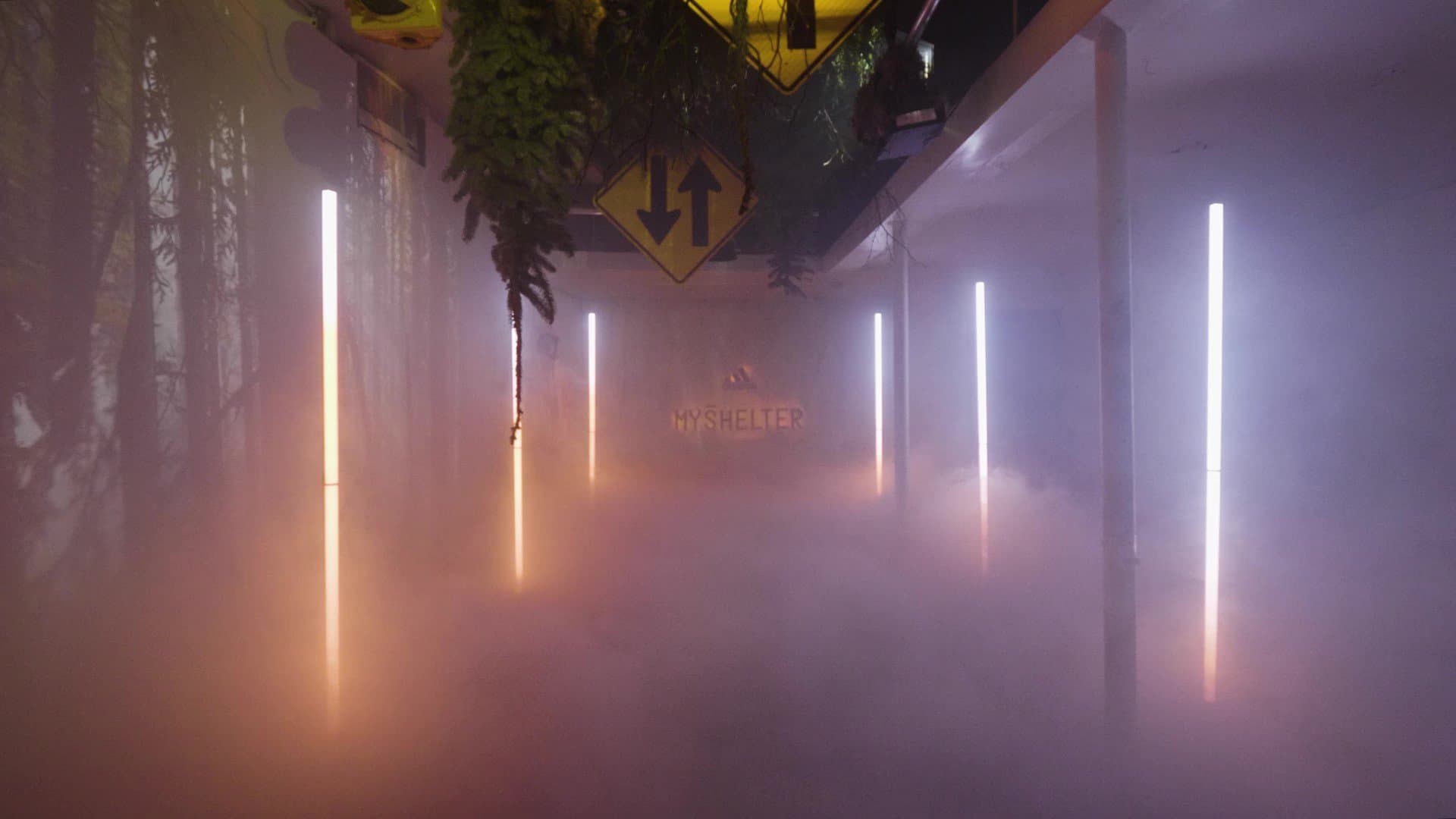 Narrow bodega corridor transformed into forest